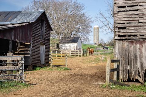 2035 Dutch Hollow Rd, Raphine, VA 24472 photo 44