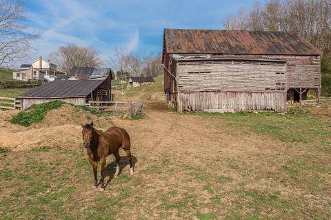 2035 Dutch Hollow Rd, Raphine, VA 24472 photo 42