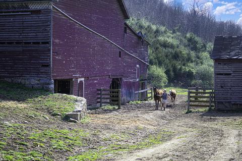 2035 Dutch Hollow Rd, Raphine, VA 24472 photo 43