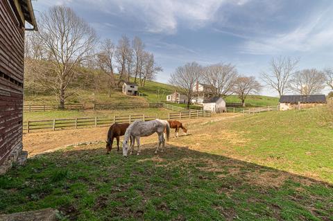 2035 Dutch Hollow Rd, Raphine, VA 24472 photo 35