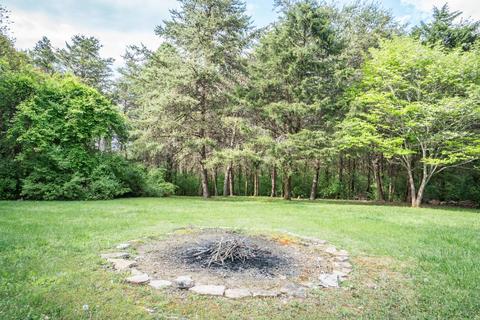 183 Stage Rd, Buchanan, VA 24066 photo 54
