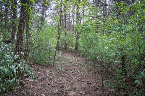 183 Stage Rd, Buchanan, VA 24066 photo 56