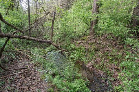 183 Stage Rd, Buchanan, VA 24066 photo 57