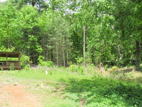 2589 Old Ferrum Rd, Ferrum, VA 24088 photo 26