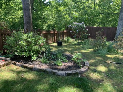 441 Mountview Dr, Salem, VA 24153 photo 8