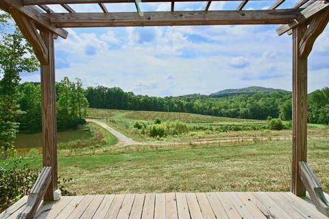 2117 Bruno Dr, Goodview, VA 24095 photo 74