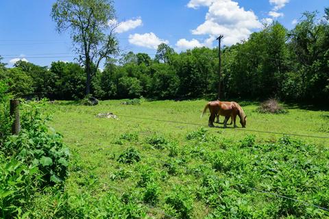 4686 Roger Rd, Salem, VA 24153 photo 8