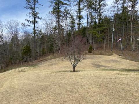 789 E Morris Hill Rd, Covington, VA 24426 photo 30