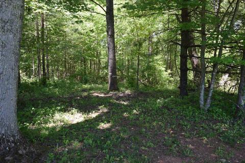 1208 Laurel Fork Rd, Laurel Fork, VA 24352 photo 22