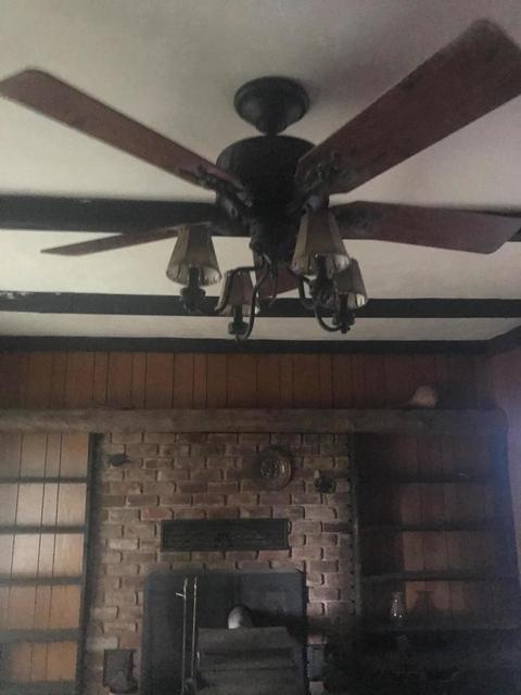 295 Albemarle Ave, Buchanan, VA 24066 photo 9