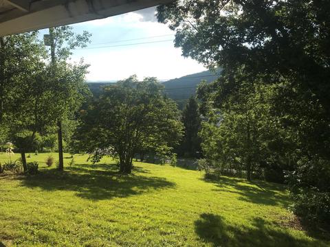 295 Albemarle Ave, Buchanan, VA 24066 photo 15