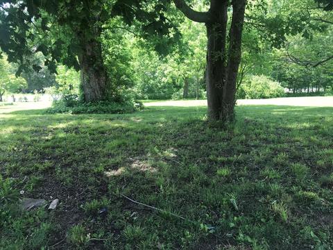295 Albemarle Ave, Buchanan, VA 24066 photo 12