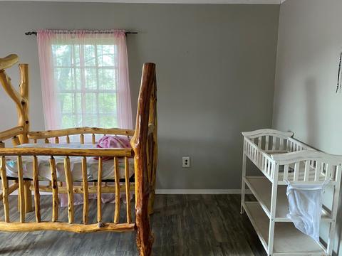 295 Albemarle Ave, Buchanan, VA 24066 photo 16