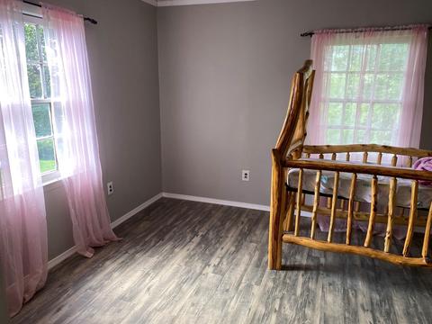 295 Albemarle Ave, Buchanan, VA 24066 photo 17