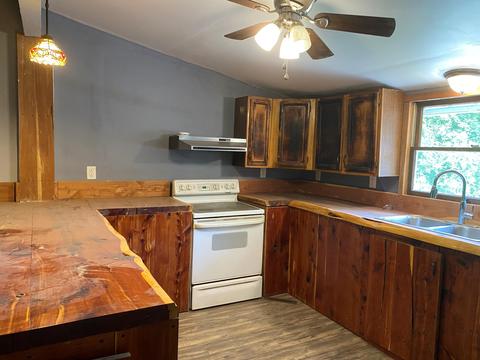 295 Albemarle Ave, Buchanan, VA 24066 photo 3
