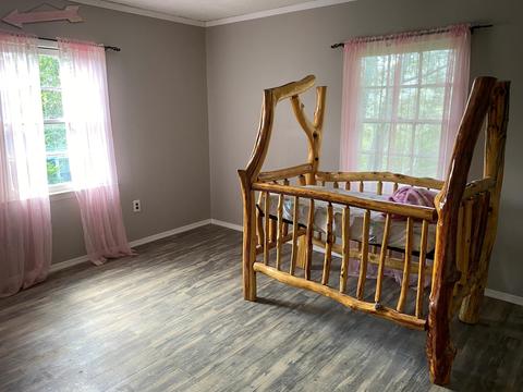 295 Albemarle Ave, Buchanan, VA 24066 photo 18