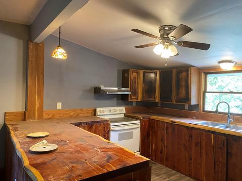 295 Albemarle Ave, Buchanan, VA 24066 photo 4