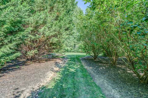 7969 Alpine Rd, Roanoke, VA 24019 photo 66