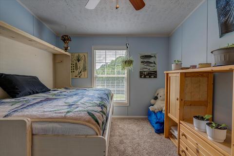 664 Otter Dr, Ferrum, VA 24088 photo 18