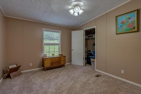 664 Otter Dr, Ferrum, VA 24088 photo 17