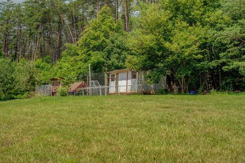 664 Otter Dr, Ferrum, VA 24088 photo 13