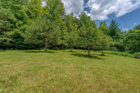 664 Otter Dr, Ferrum, VA 24088 photo 11