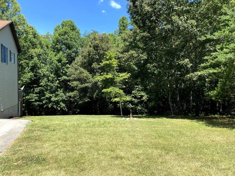 94 Barrett Rd, Hardy, VA 24101 photo 63