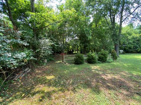 119 Williams Ln, Buchanan, VA 24066 photo 32