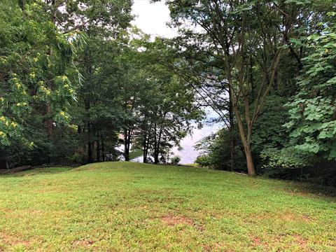 104 Bluewater Ct, Goodview, VA 24095 photo 3