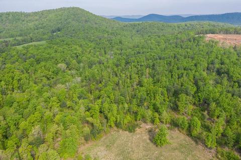 5565 Haw Patch Rd, Ferrum, VA 24088 photo 42