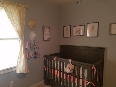 2184 Cedar Ln, Buchanan, VA 24066 photo 9