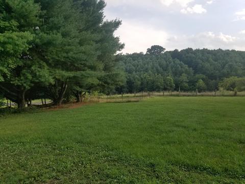 2184 Cedar Ln, Buchanan, VA 24066 photo 35