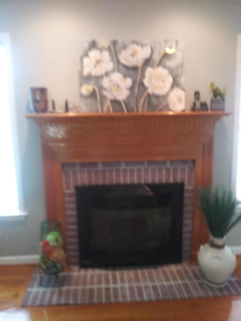 1145 Old Station Loop, Hardy, VA 24101 photo 93