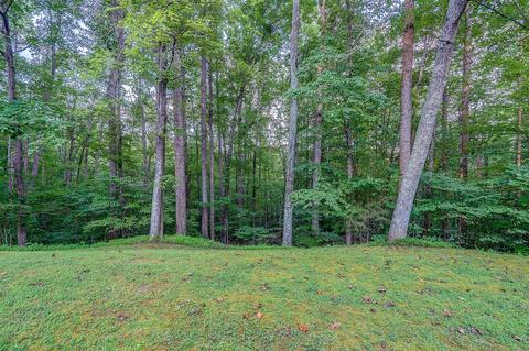 5960 Goodview Rd, Goodview, VA 24095 photo 35