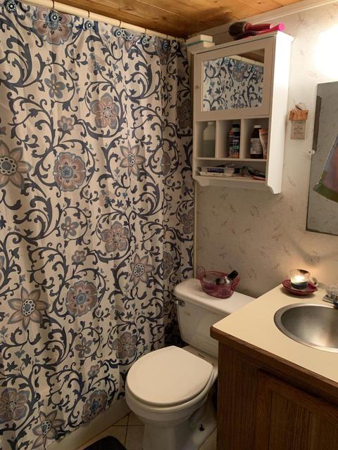1135 Otter Dr, Ferrum, VA 24088 photo 7