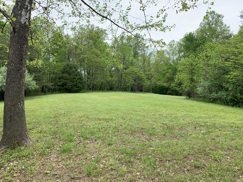 1135 Otter Dr, Ferrum, VA 24088 photo 29