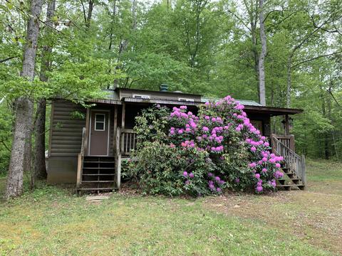 1135 Otter Dr, Ferrum, VA 24088 photo 2