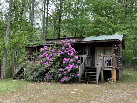 1135 Otter Dr, Ferrum, VA 24088 photo 15