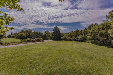 763 Hays Creek Rd, Raphine, VA 24472 photo 45