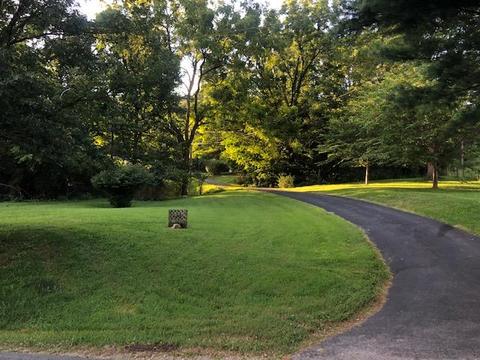 1875 Pico Rd, Buchanan, VA 24066 photo 29