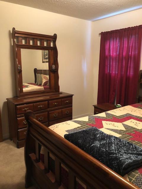 1875 Pico Rd, Buchanan, VA 24066 photo 20