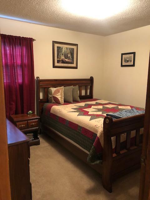 1875 Pico Rd, Buchanan, VA 24066 photo 18