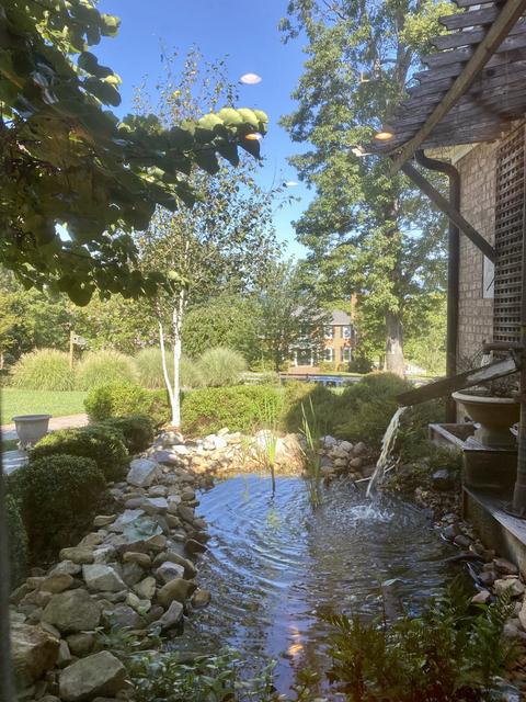 2455 Old Cifax Rd, Goode, VA 24556 photo 78