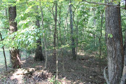 554 Fields Ave, Blue Ridge, VA 24064 photo 14