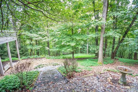 313 Saddleback Trl, Hardy, VA 24101 photo 65