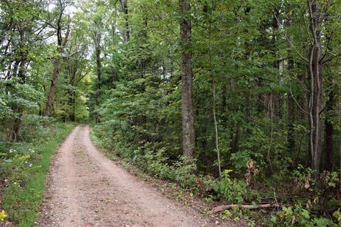 323 Hope Rd SE, Floyd, VA 24091 photo 30