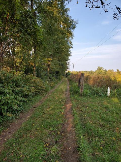 3878 Garman Rd, Salem, VA 24153 photo 18