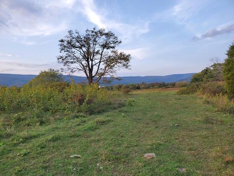 3878 Garman Rd, Salem, VA 24153 photo 13
