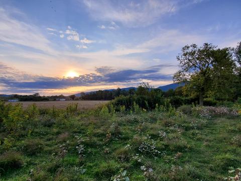 3878 Garman Rd, Salem, VA 24153 photo 20