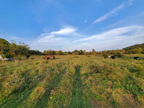 3878 Garman Rd, Salem, VA 24153 photo 12